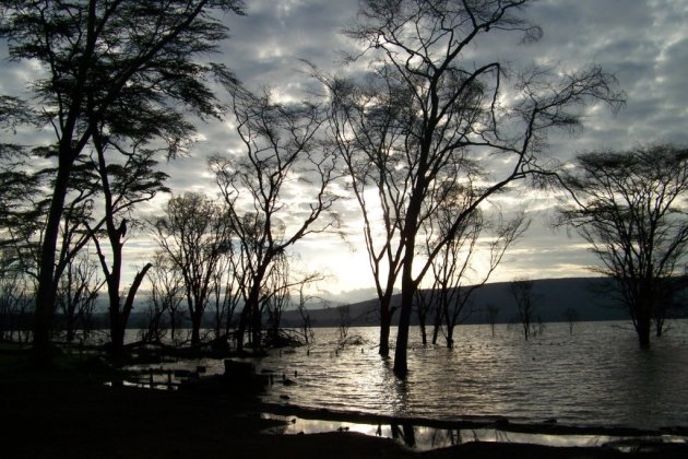 Lake Nakuru