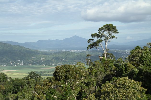 Uitzicht uit Kuranda kabelbaan