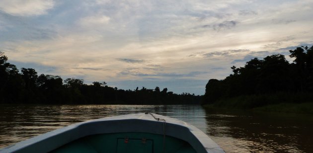 De avond valt over de Kinabatangan rivier