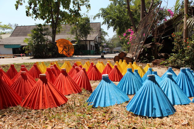 Kleurige parasolletjes