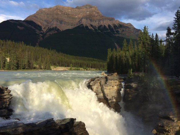 Athabasca falls