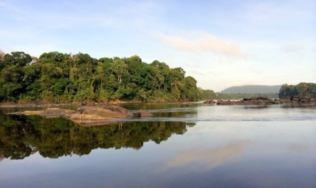 Natuurlijk Guyana