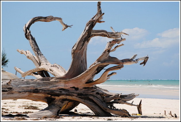 Diani Beach, Kenia