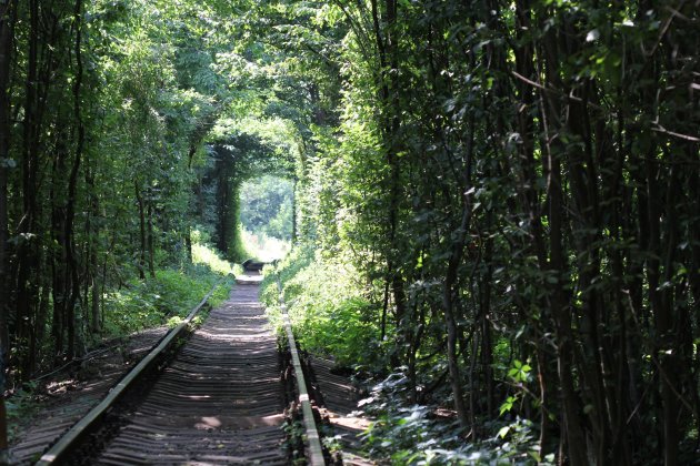 Tunnel of love