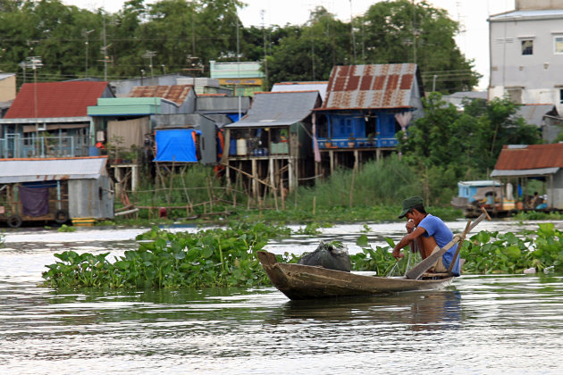 Mekong Visser