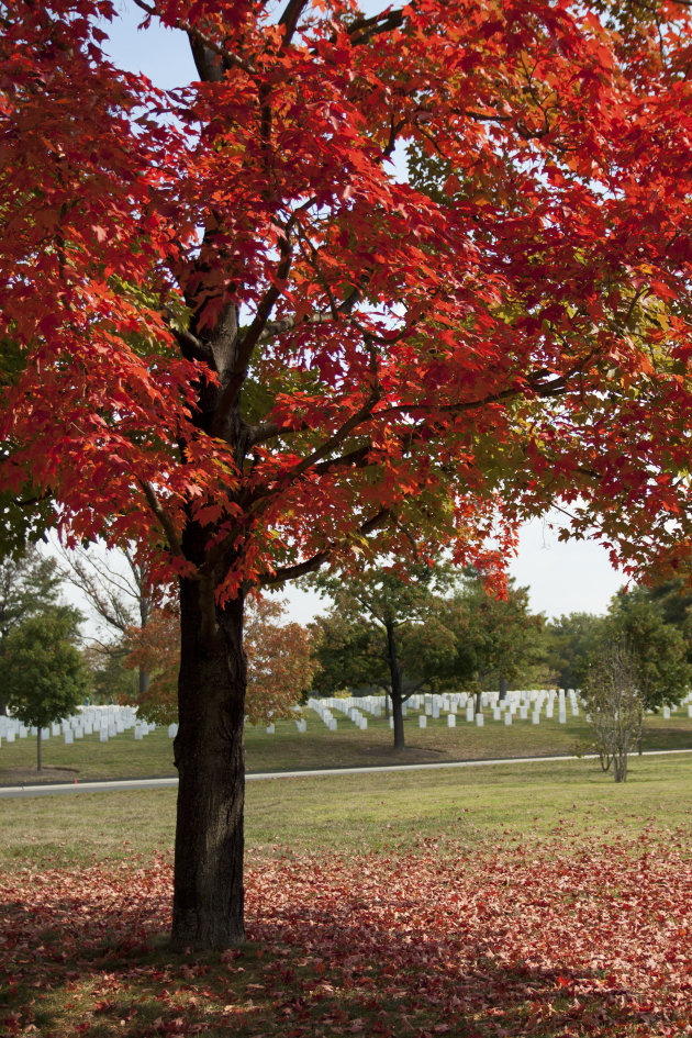 Arlington in de herfst