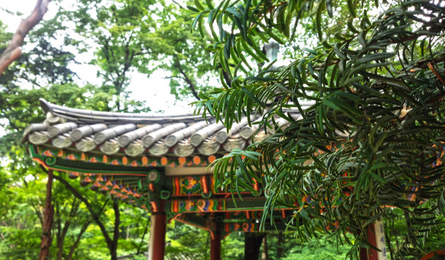 Tempel en natuur