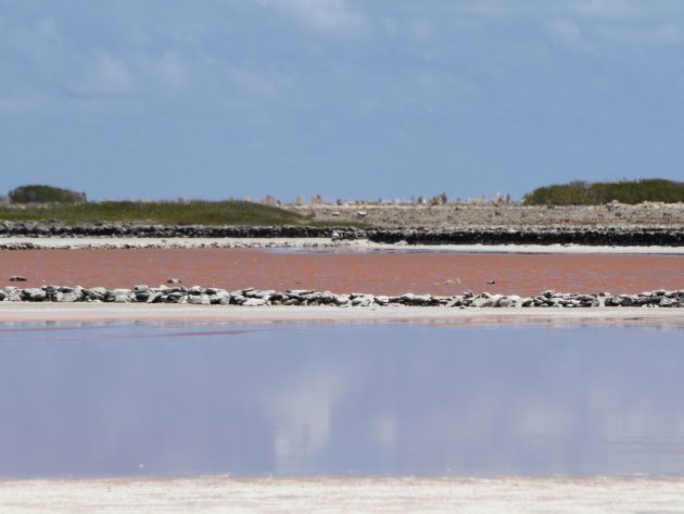 Hollandse vlag in zout water op Bonaire