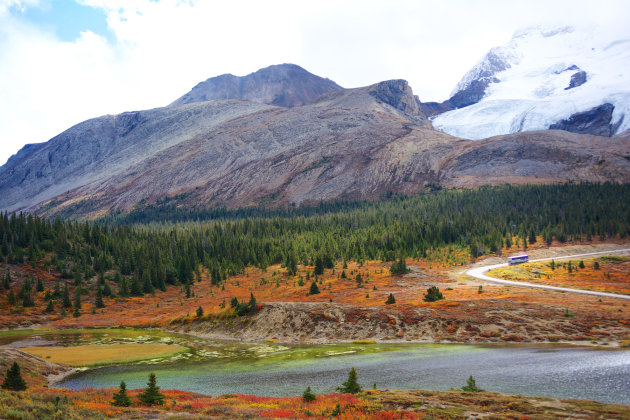 Herfst en ijs - Athabasca Glacier