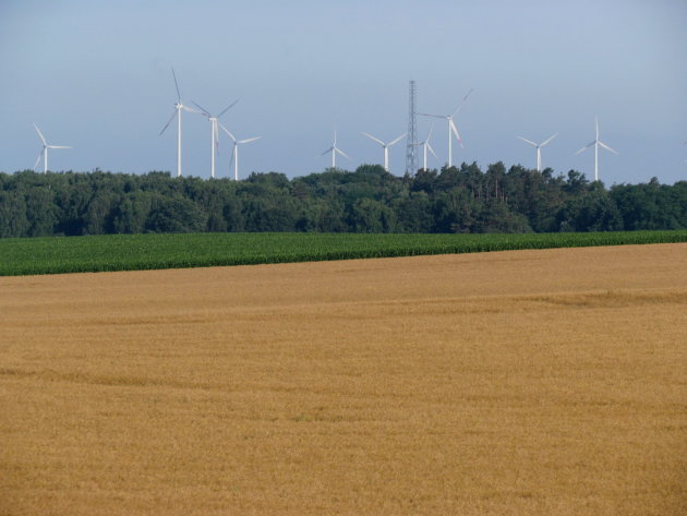 vreemde bomen