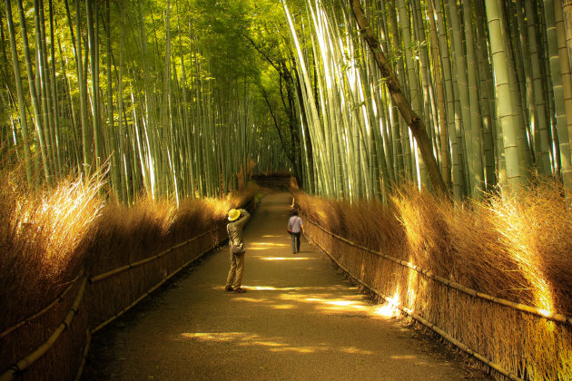 Arashiyama*