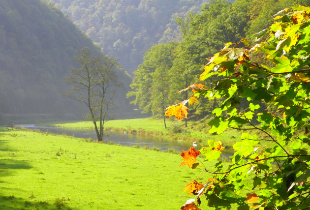 Herfstlicht