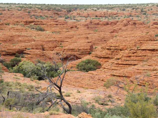 Uitzicht bij Kings Canyon