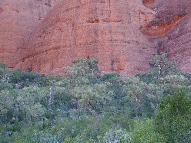 Rood en Groen in midden Australië