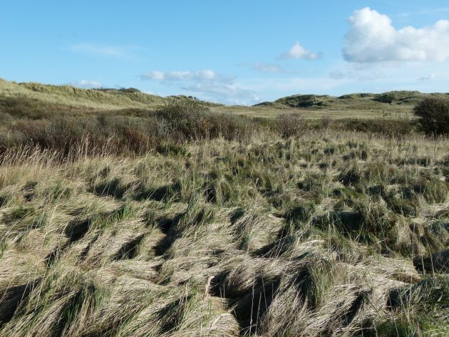 Prachtig Ameland!