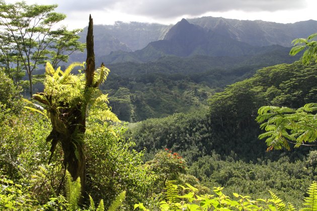 Kauai - binnenland