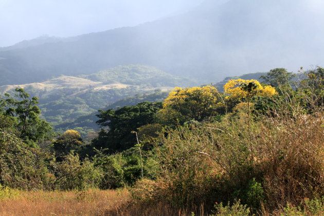 Rincón de la Vieja 