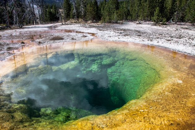 Morning Glory Pool