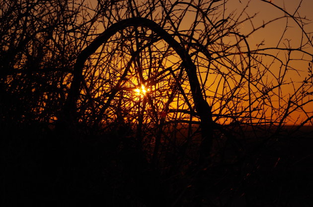 Zonsondergang Munga National Park