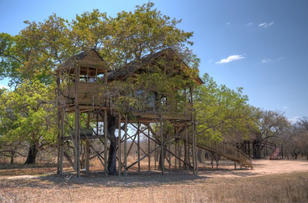 Pezulu Tree Lodge
