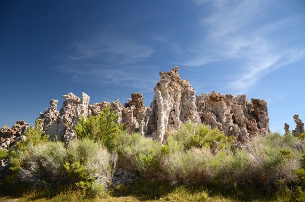 Zoutpilaren bij Mono Lake