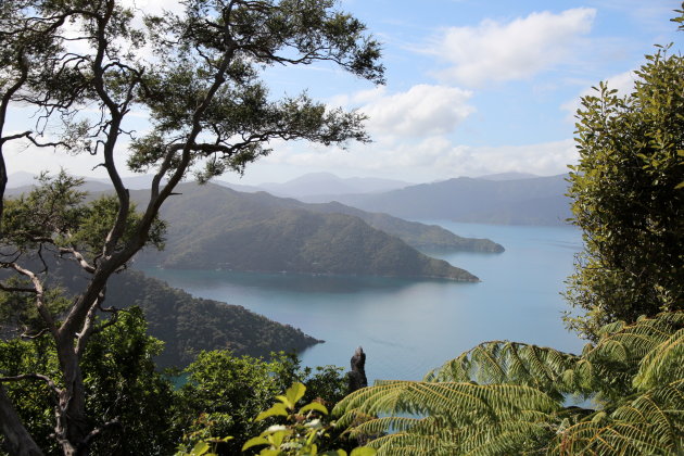 Marlborough Sounds