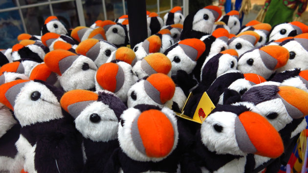 Pluche puffins