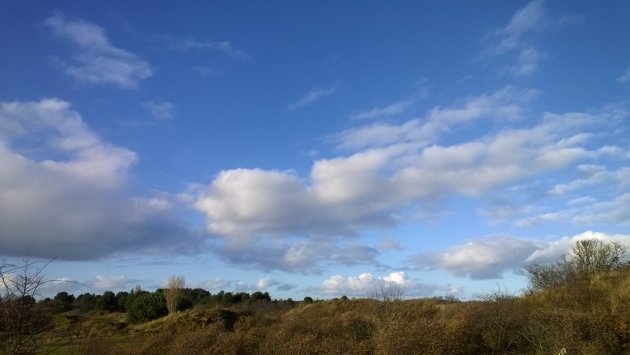 Schiermonnikoog IV