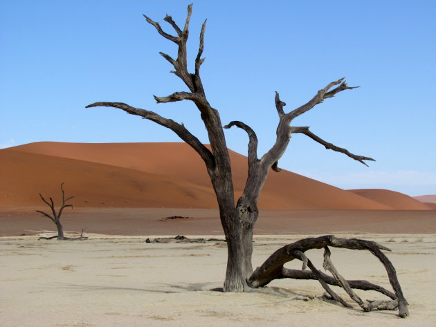 Dead Vlei