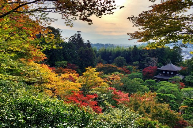 Autumn in Kyoto