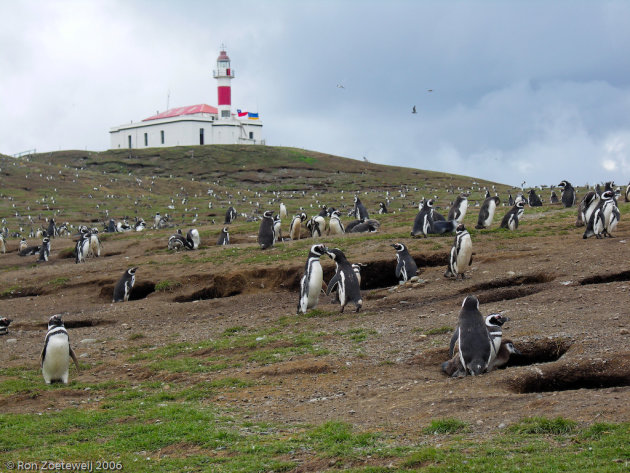 Isla Magdalena