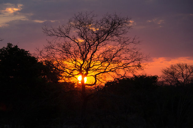 African sunset