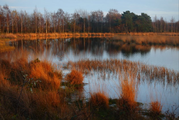 Avondlicht op het Leikeven