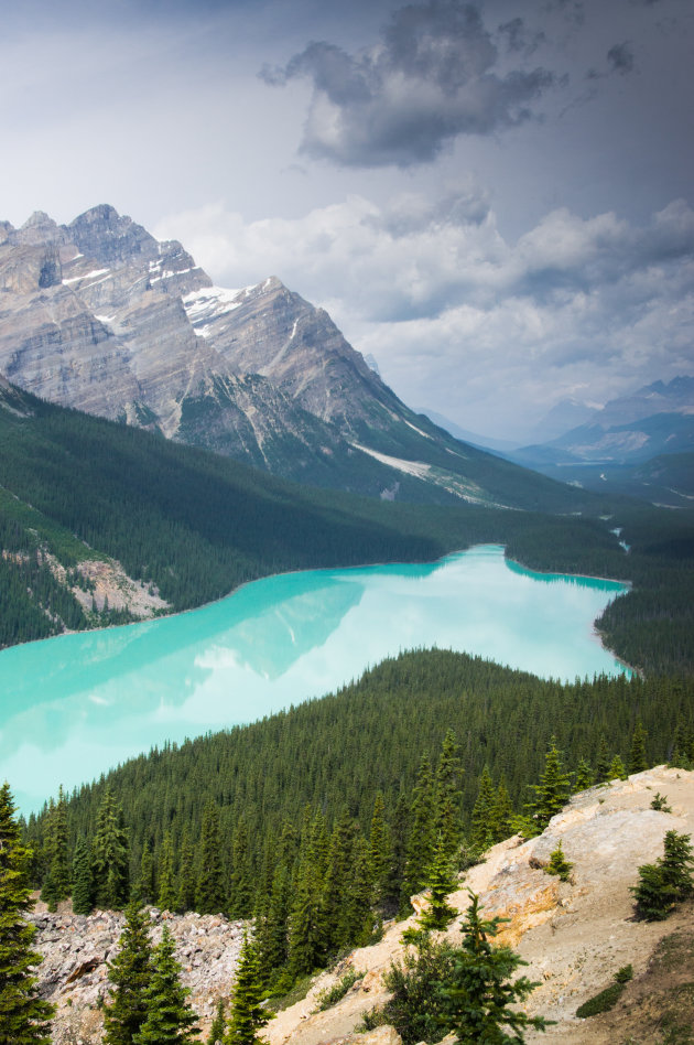 Peyto Lake