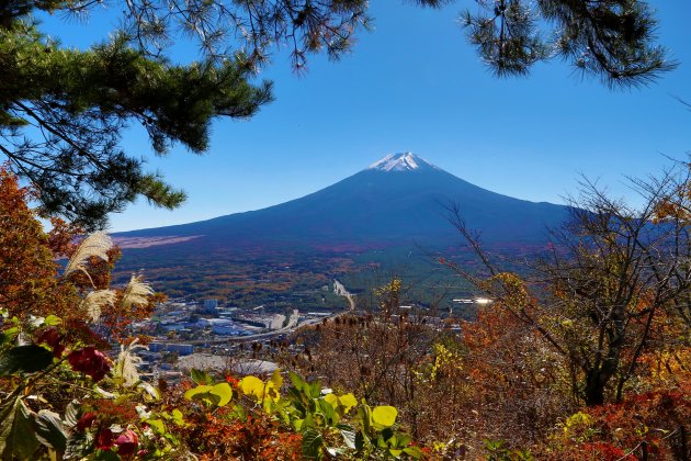 Fuji san