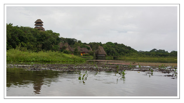 Napo Lake and Wildlife Center