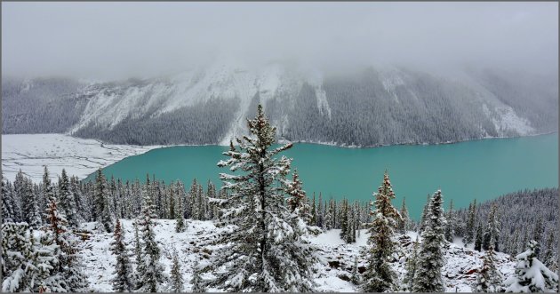 Peyto Lake !