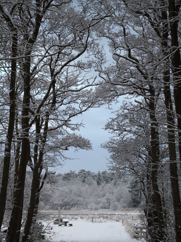 Winter op Texel