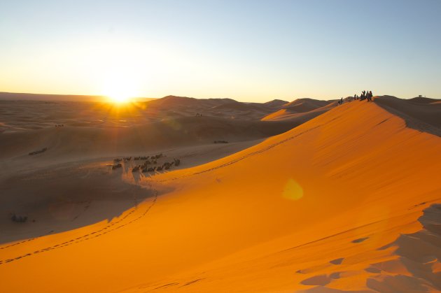 zonsopkomst in de woestijn