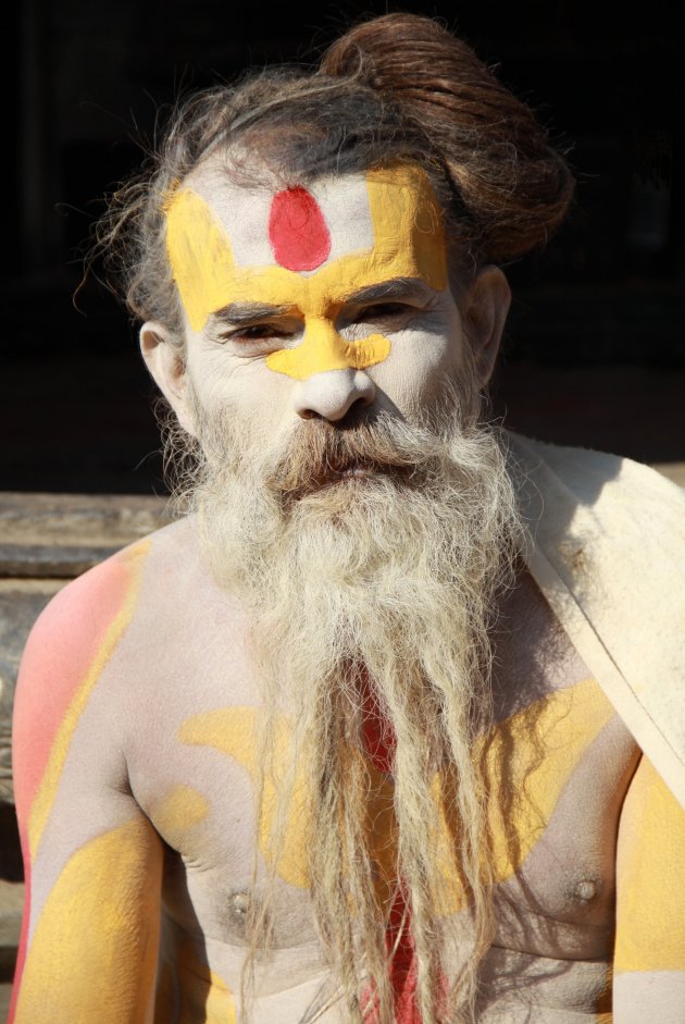 Sadhu bij Pashupatinath