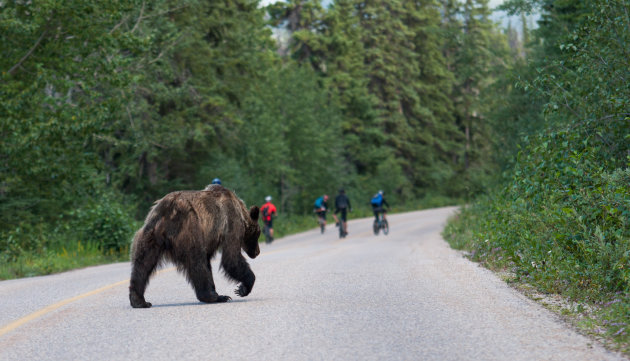 Fietsers opgepast….