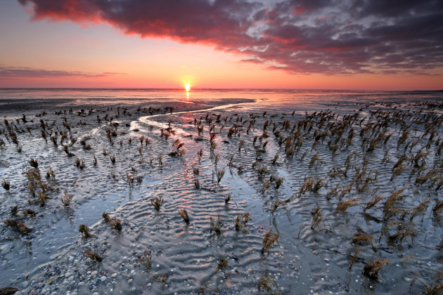 Zonsopkomst boven het Wad