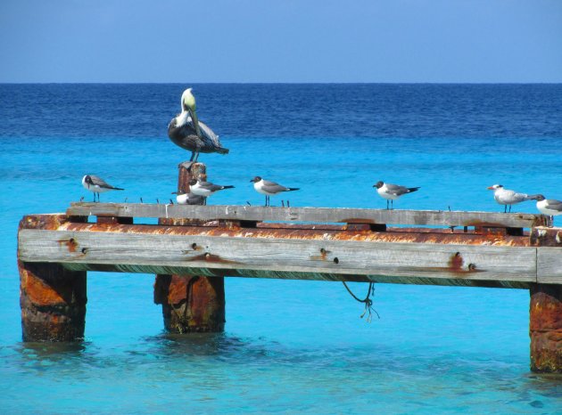 De oude steiger op Klein Curacao