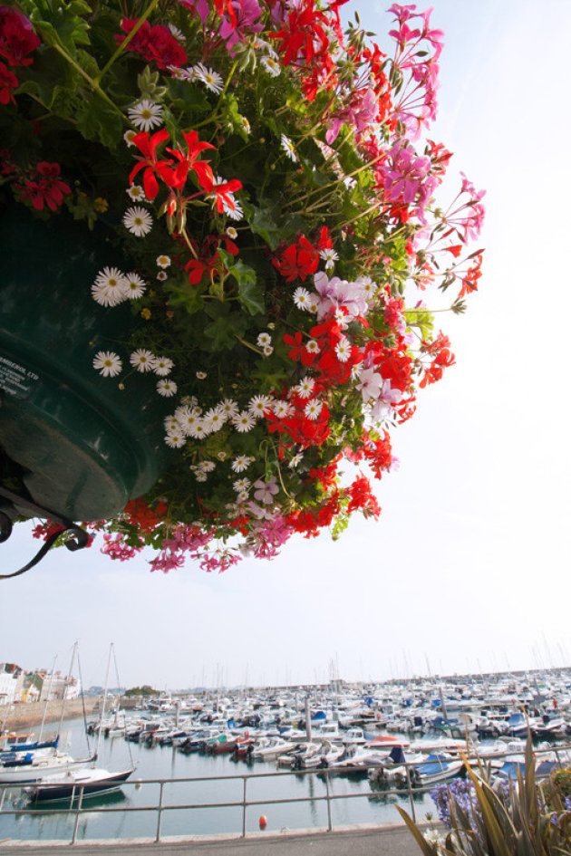 Hanging basket