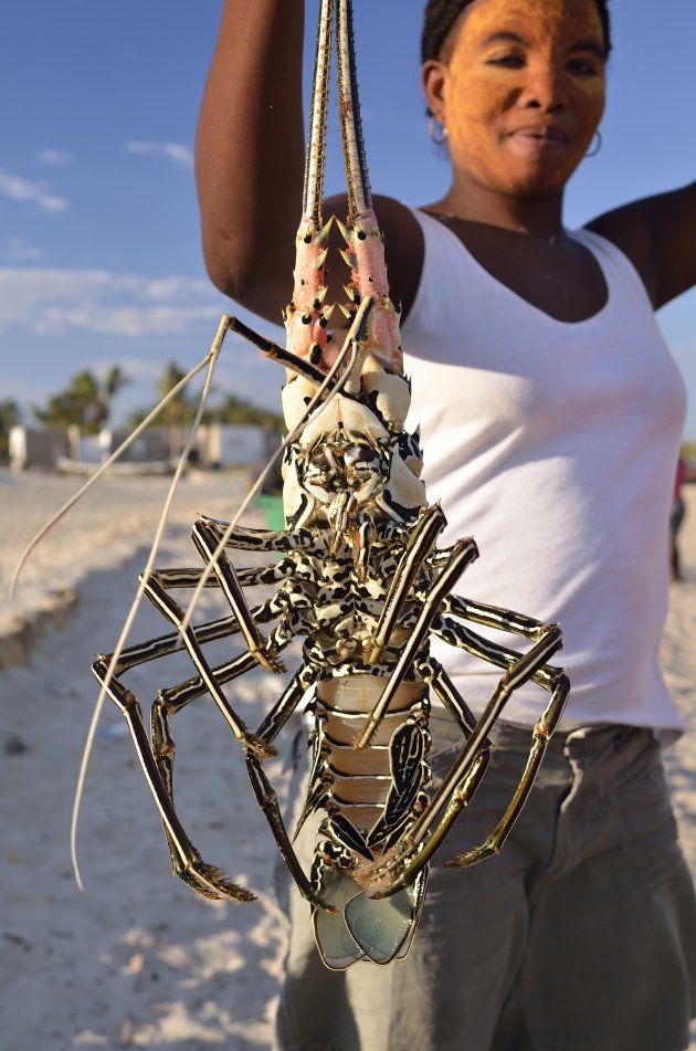 Vrouw met langoustine