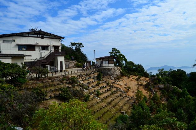 Miyajima