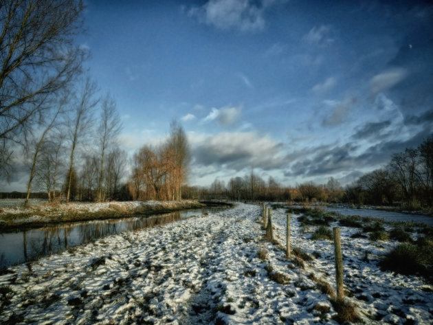 Sneeuwlandschap