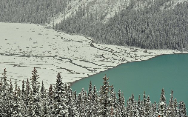 Peyto Glacier !