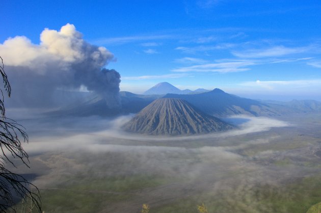 Bromo