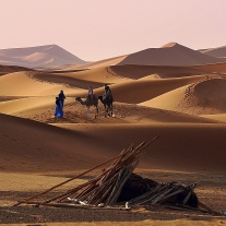 '462573' door Hansdewildt